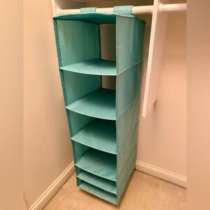 Blue Hanging Closet Organizer